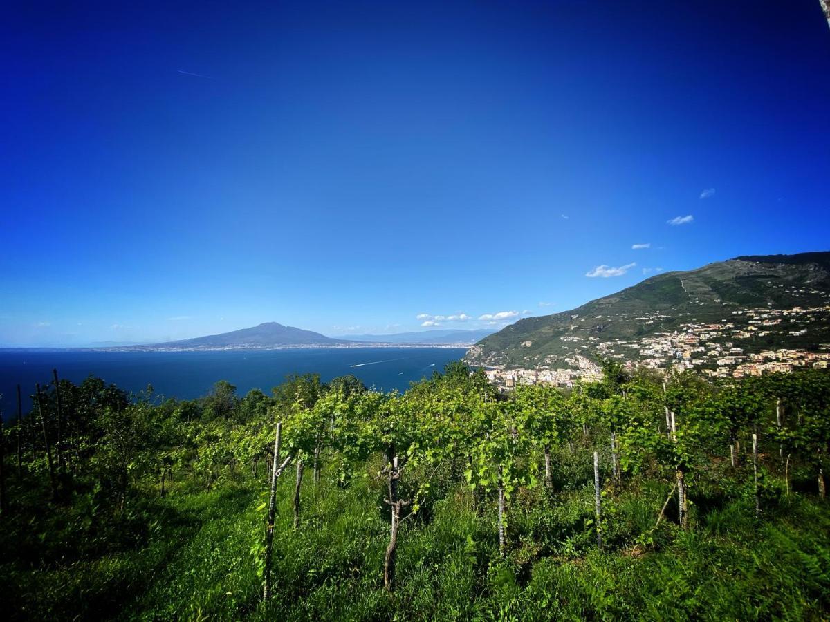 Villa La Badia Montechiaro - Breathtaking View Of Sorrento Coast Vico Equense Exterior foto
